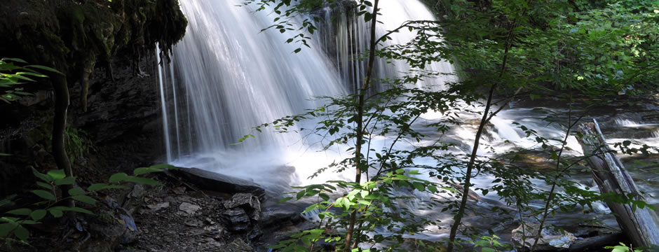 资源调度的DDOS压力测试网页端